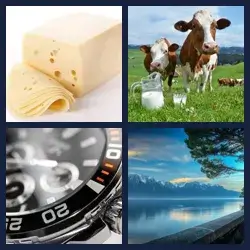 4 images 1 mot niveau 1194