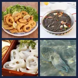 4 images 1 mot niveau 1196