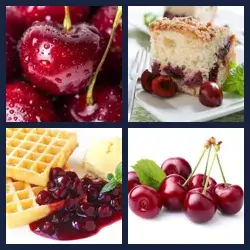 4 images 1 mot niveau 1199