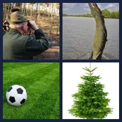 4 images 1 mot niveau 12