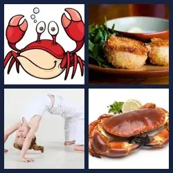 4 images 1 mot niveau 1205