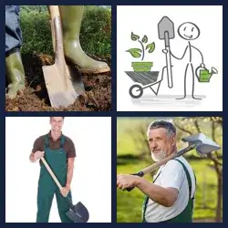 4 images 1 mot niveau 1207