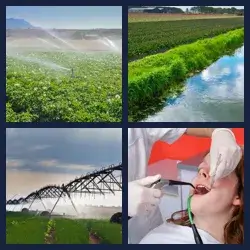 4 images 1 mot niveau 1217