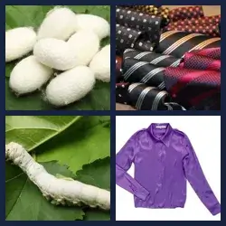 4 images 1 mot niveau 1219