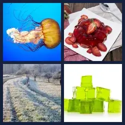 4 images 1 mot niveau 1228