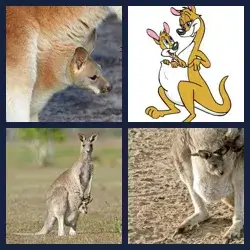 4 images 1 mot niveau 1233