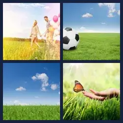 4 images 1 mot niveau 1234