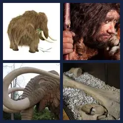 4 images 1 mot niveau 1243