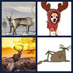 4 images 1 mot niveau 1249