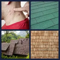 4 images 1 mot niveau 1257