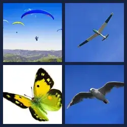 4 images 1 mot niveau 1263