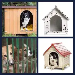 4 images 1 mot niveau 1270