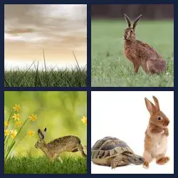 4 images 1 mot niveau 1280