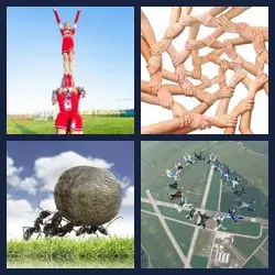 4 images 1 mot niveau 1292