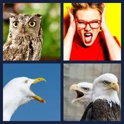 4 images 1 mot niveau 1304