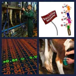 4 images 1 mot niveau 1308