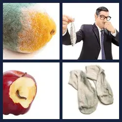 4 images 1 mot niveau 1310