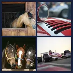 4 images 1 mot niveau 1314