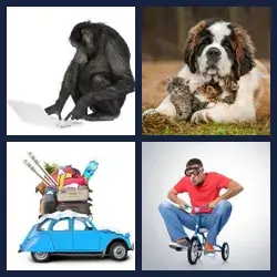 4 images 1 mot niveau 1321