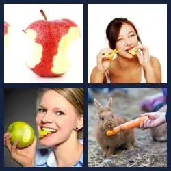 4 images 1 mot niveau 1322