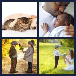 4 images 1 mot niveau 1329