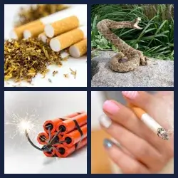 4 images 1 mot niveau 1337