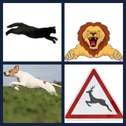 4 images 1 mot niveau 1351