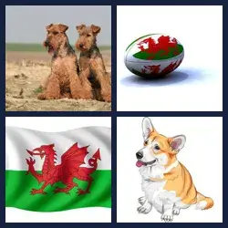 4 images 1 mot niveau 1359