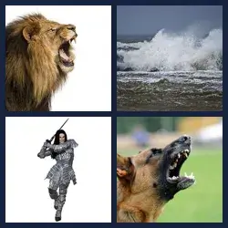 4 images 1 mot niveau 1364