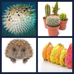 4 images 1 mot niveau 1366