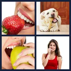 4 images 1 mot niveau 1367