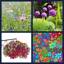 4 images 1 mot niveau 1376