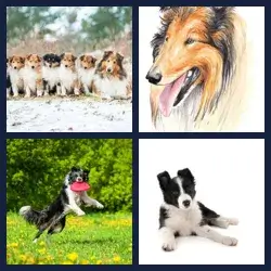 4 images 1 mot niveau 1393