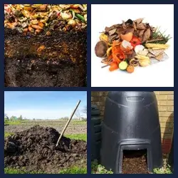 4 images 1 mot niveau 1394