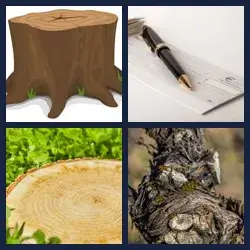 4 images 1 mot niveau 1397