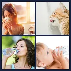 4 images 1 mot niveau 14