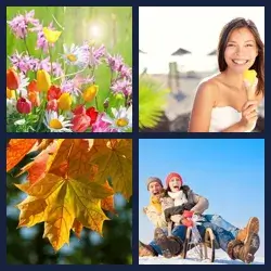 4 images 1 mot niveau 140