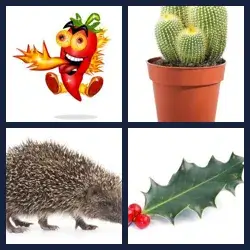 4 images 1 mot niveau 1405