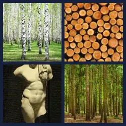 4 images 1 mot niveau 1406