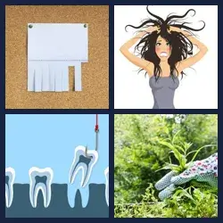 4 images 1 mot niveau 1408