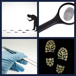 4 images 1 mot niveau 1419