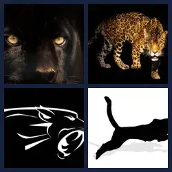 4 images 1 mot niveau 1428