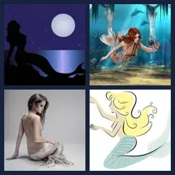 4 images 1 mot niveau 1429