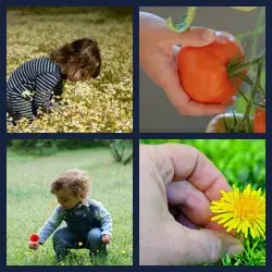 4 images 1 mot niveau 1431