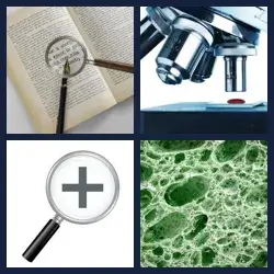 4 images 1 mot niveau 1432