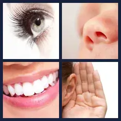 4 images 1 mot niveau 144