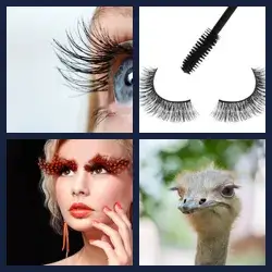 4 images 1 mot niveau 1463