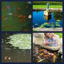 4 images 1 mot niveau 1473