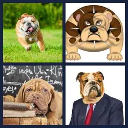 4 images 1 mot niveau 1479