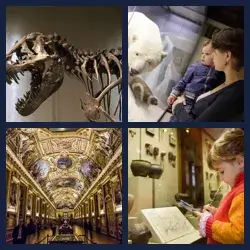 4 images 1 mot niveau 1484